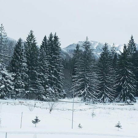 Apartment A36 Silver Mountain Poiana Brasov Exterior photo