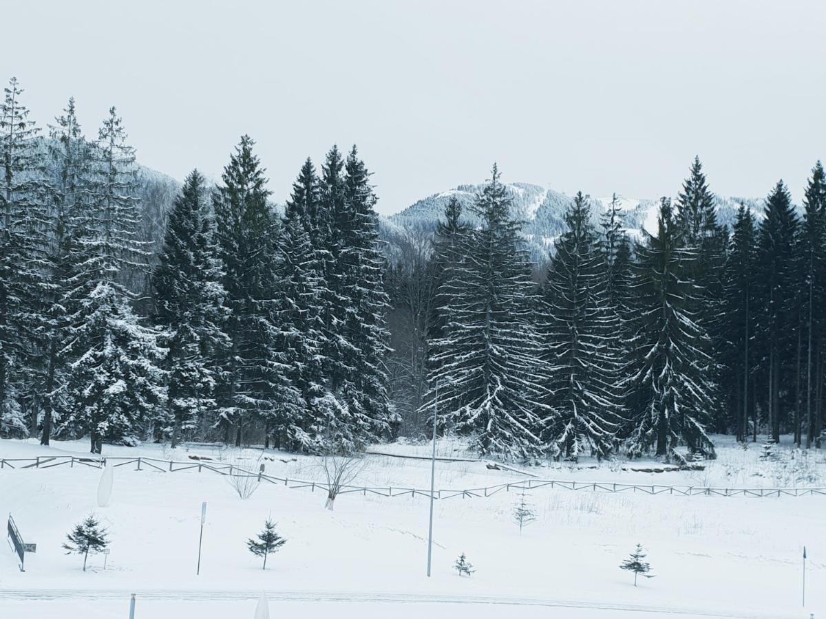 Apartment A36 Silver Mountain Poiana Brasov Exterior photo